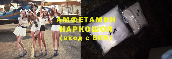 индика Абаза