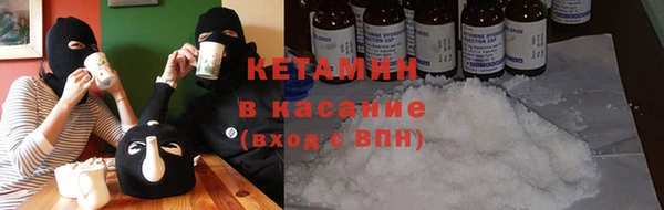 индика Абаза