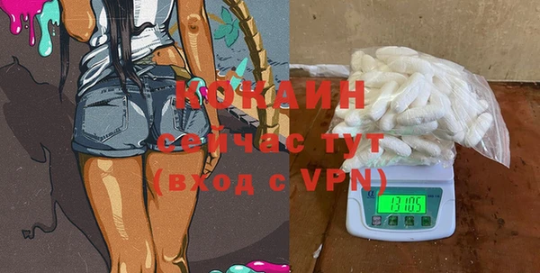 индика Абаза