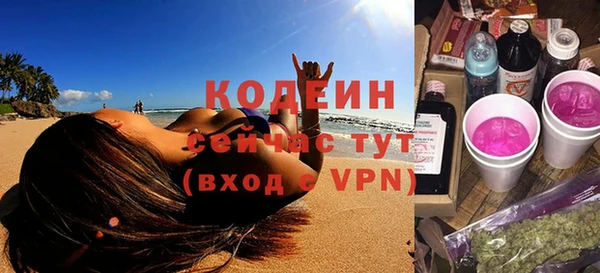 индика Абаза