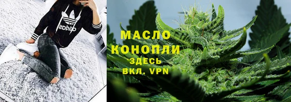 индика Абаза