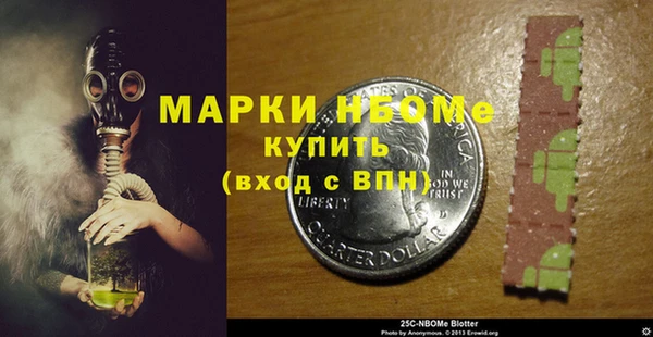 индика Абаза