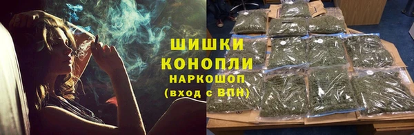 индика Абаза