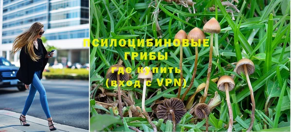 индика Абаза
