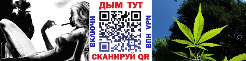 Шишки марихуана OG Kush  Нестеровская 